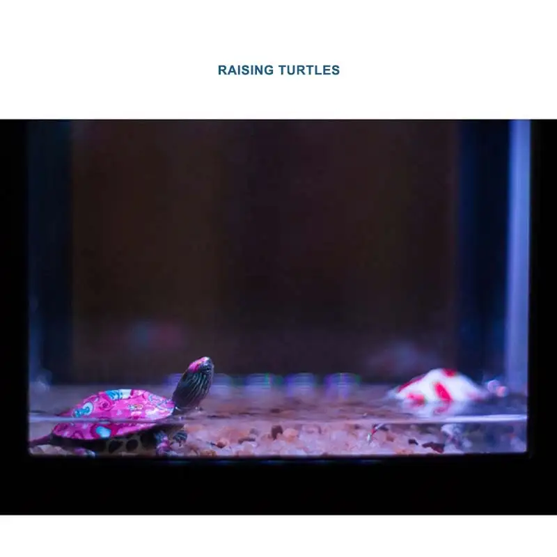 USB мини аквариума (сделай сам) со светодиодной лампой с светильник Betta Fish цилиндр