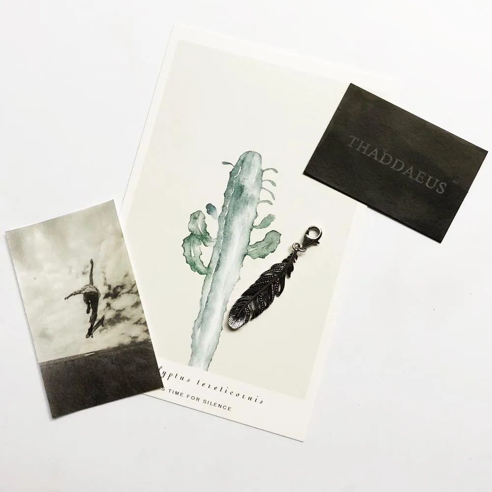 Цепочка с вороном и перьями очаровательная из серебра 2020 пробы для мужчин женщин