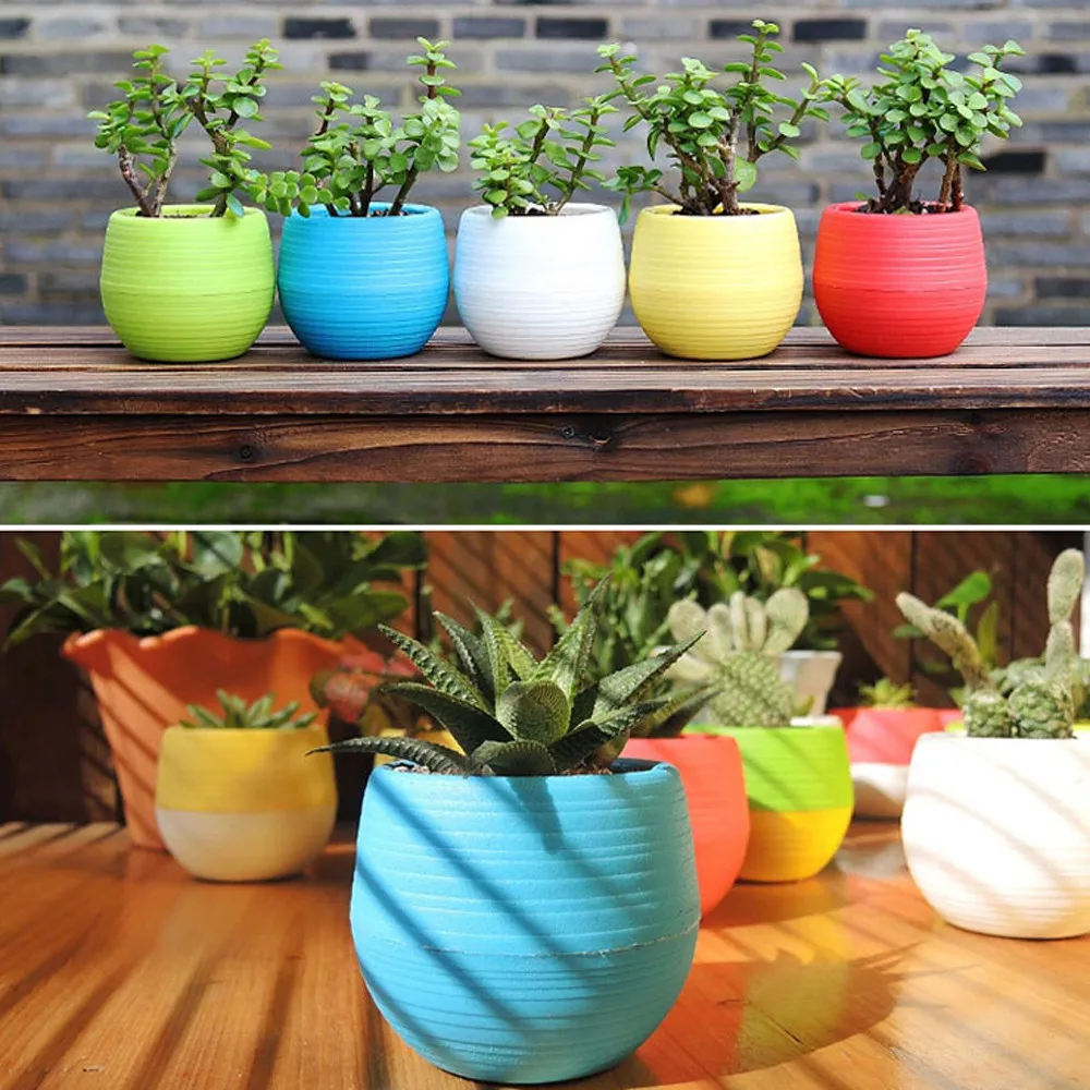 

Mini Flower Plant Pots Colourful Round Plastic Plant Flower Pot Succulents Planters Pot Garden Home Office Indoor Derocation