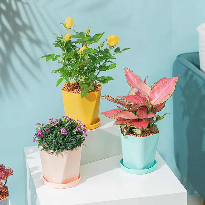 

INS Style Nordic Simple Imitation Flower Pot Plastic Succulent Flowerpot Modern Small Gallon Planter Home Decoration