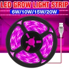 Фитолампа светодиодная полного спектра, 5 В, 0,5, 1, 2, 3 м, водонепроницаемая