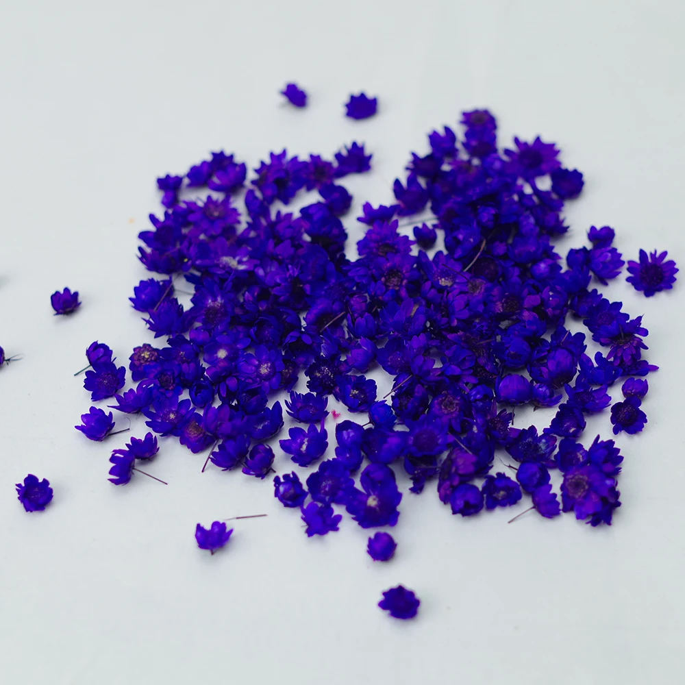 

Solid Color Big Dried Flower Head Daizy Glass Cover Nail Art Filling Epoxy Hand Craft DIY Home Decor