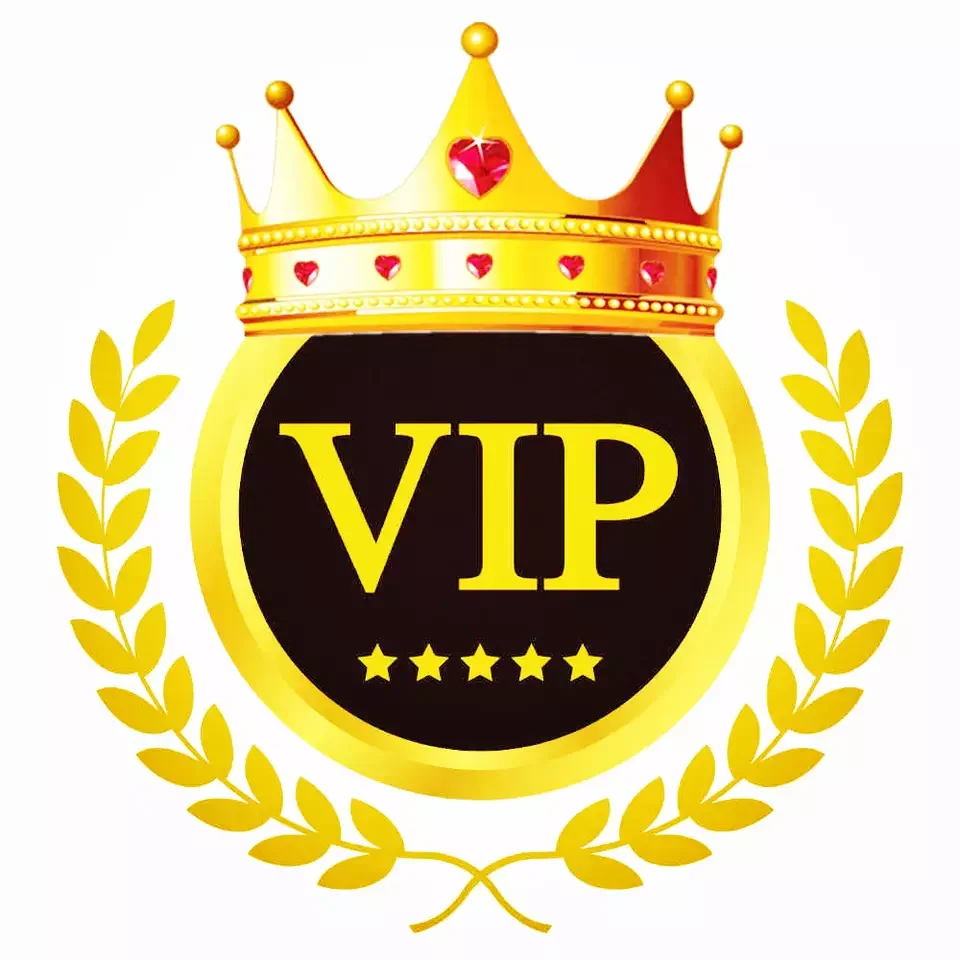 

Ботинки тапочки VIP