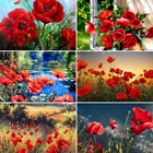 2020 Meian цветок dRhinestone наборы рукоделия Мак Алмазная вышивка полный набор цветы вышивка крестиком Мозаика картина Стразы