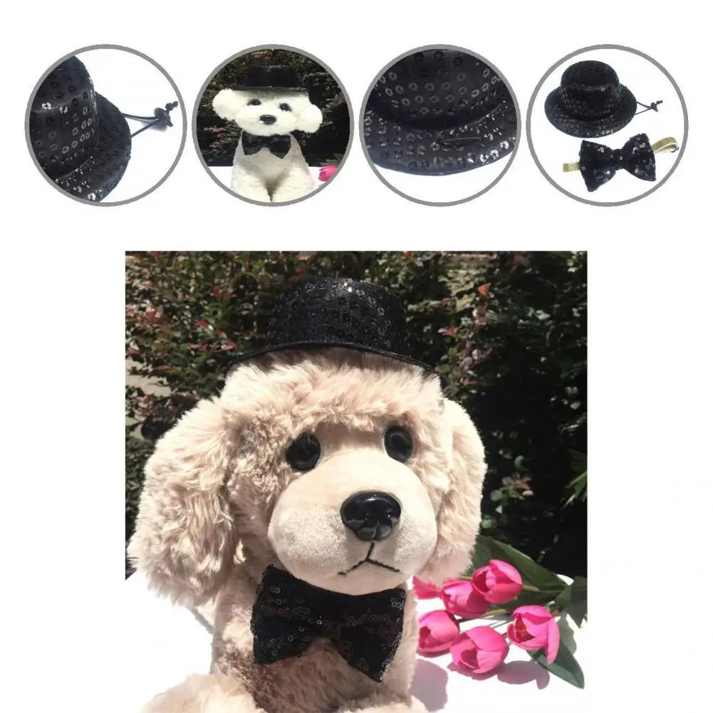 

2 шт./комплект, аксессуары для домашних животных