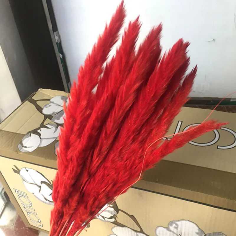 10 шт. Bulrush натуральный Рид высушенная маленькая пампасная трава Phragmites коммун