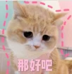 

1111