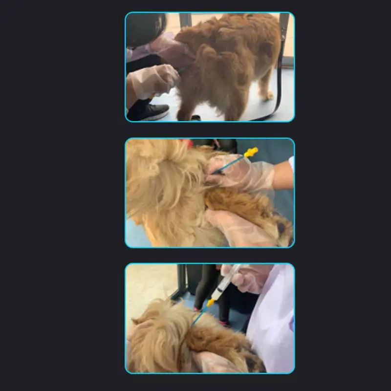 

100PCS Disposable Pet Canine Artificial Insemination Pipe Dog Sperm Semen Seminiferous Duct Equipment Clinic Supplies