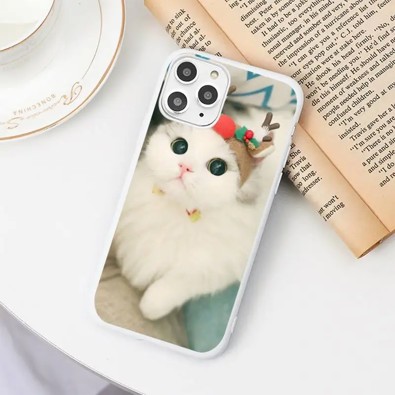 

Cute pet cat ragdoll cat Luxury Phone Case Candy Color White for iPhone 11 pro XS MAX 8 7 6 6S Plus X 5S SE 2020 XR