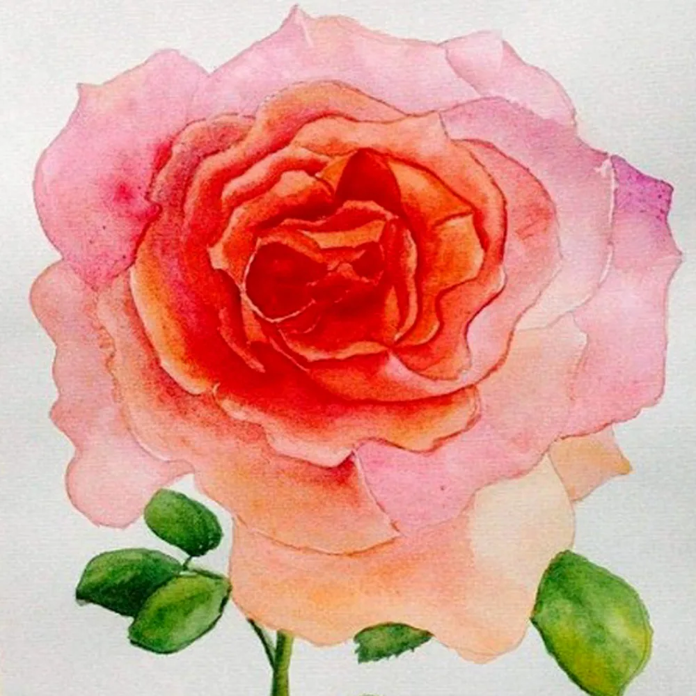 24 шт акварельные кисти ручки + 1 ручка для воды детей и взрослых начинающих