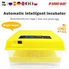 Инкубатор для яиц, автоматический инкубатор для яиц с постоянной температурой, аксессуары для яиц, контроллер, аксессуары