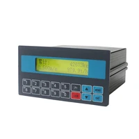 high frequency sampling belt scales weight controller belt weigher indicator with weight totalizing bst100 d12