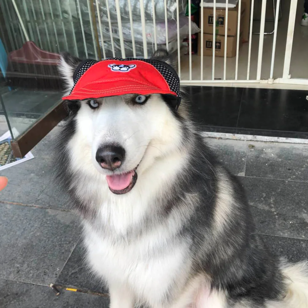 New Pet Baseball Visor Cap for Small Dogs Puppies Summer Sun Hat Sport Adjustable Buckle Dog Caps Accessories | Дом и сад