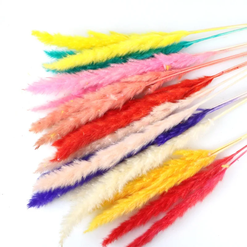 7 шт. Натуральные Сушеные маленькие цветы фрагмиты для папы букет Декор трава