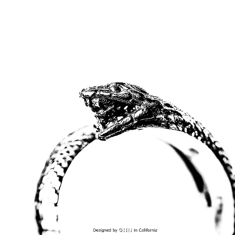 

Master & Ossis Sterling Silver Original Skull Snake Ring Adjustable Men and Women Ring Little Finger Ring Personality Ring