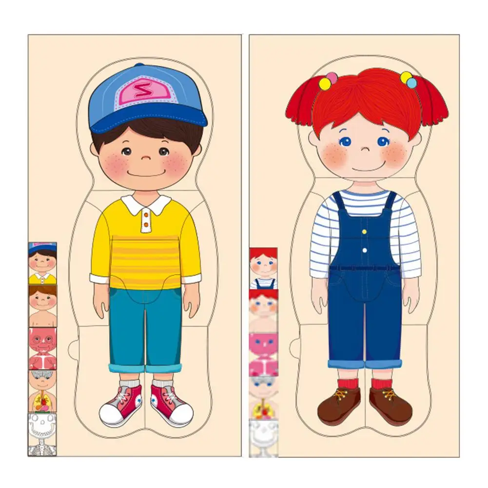 

4 Layers Human Body Structure Puzzle Cognitive Biological Wooden Montessori Materials Children's Educational Toys