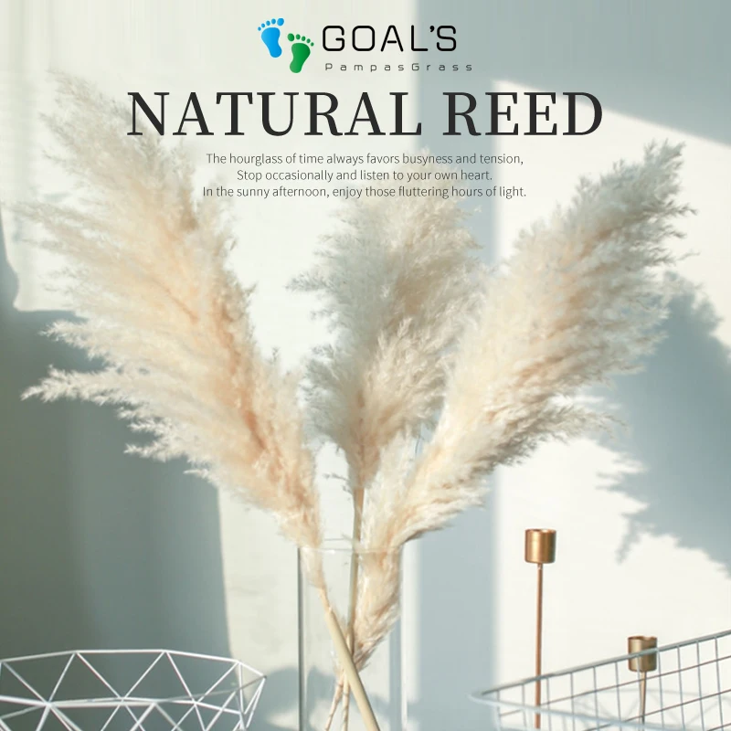 новогодние украшения 2021 Пампасная трава высота 55 см 8 шт. сушеные тростники для