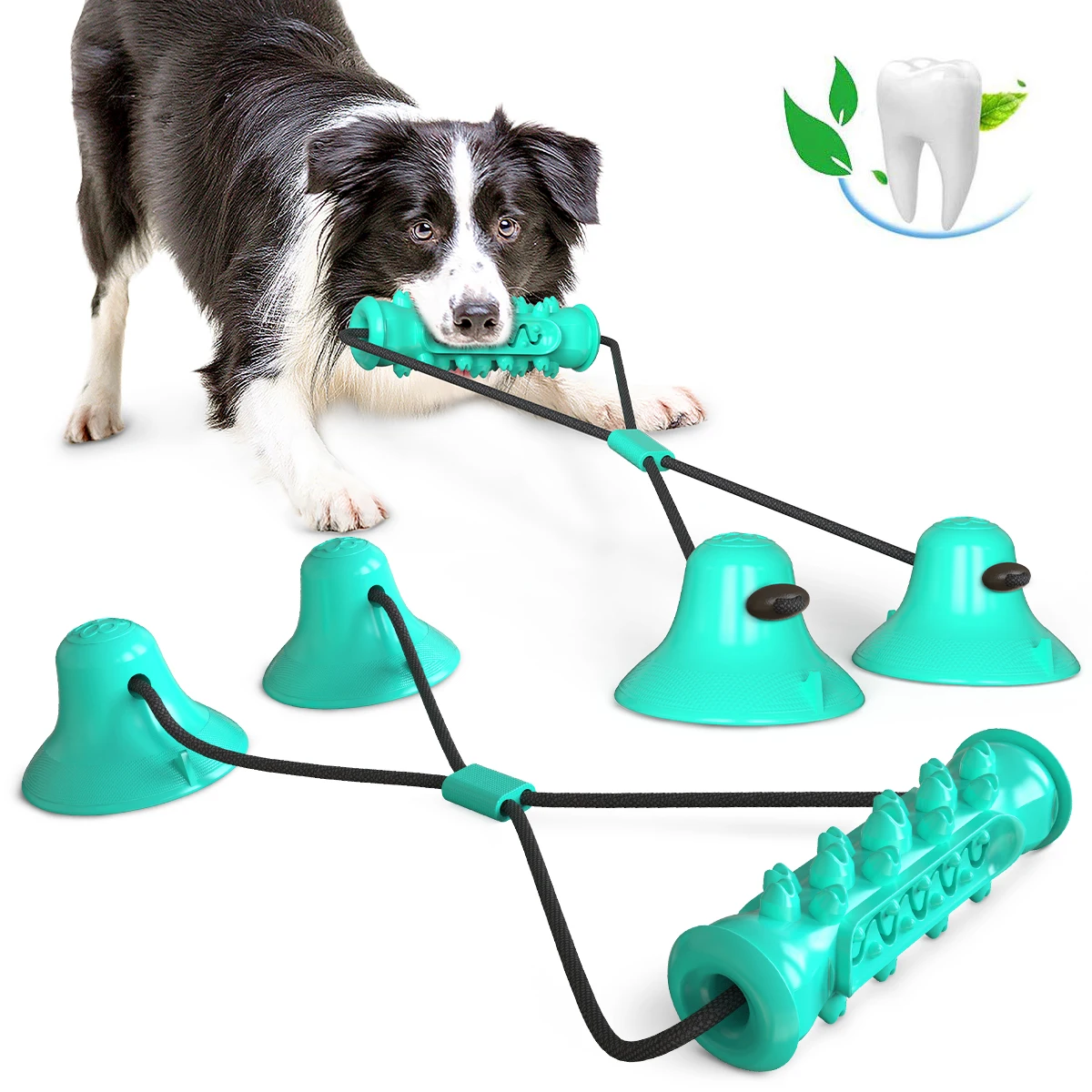 Mewoofun собака молярная Укус игрушка многофункциональной жевательные игрушки для