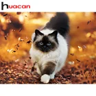 Huacan 5д алмазная мазайка рукоделие aлмазная вышивка распродажа полная выкладка животные кошки картина стразами