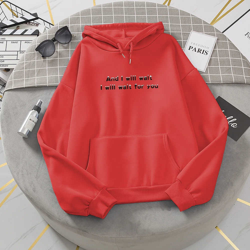 Hoodies Oversized Printed Kangaroo Pocket Sweatshirts Harajuku Ullzang Vintage Korean Pullover Women Sweetshirts Jersey De Mujer