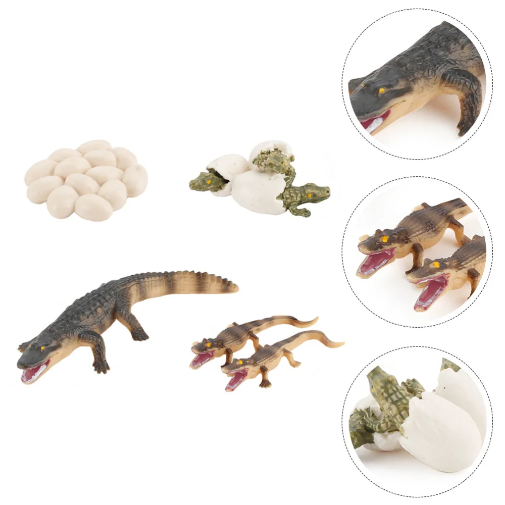 

1 Set Amphibian Animal Growth Cycle Model Simulation Crocodile Plaything Kid