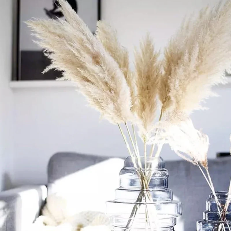 

85-120cm Pampas Grass Extra Large Natural White Dried Flowers Bouquet Fluffy for Boho Vintage Style Home Wedding Flowers Decor