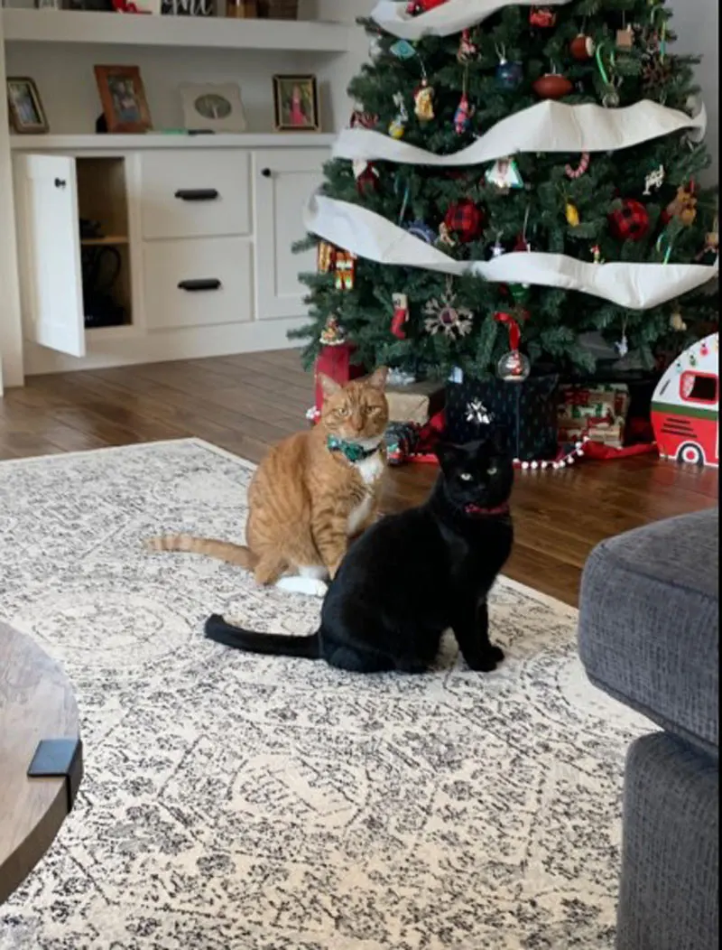 Рождественский воротник с кошачьими ушками 2 упаковки/комплект милым