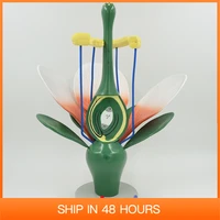 dicot flower model dicotyledonous flowering plants biological teaching tool enlarged educational equipment