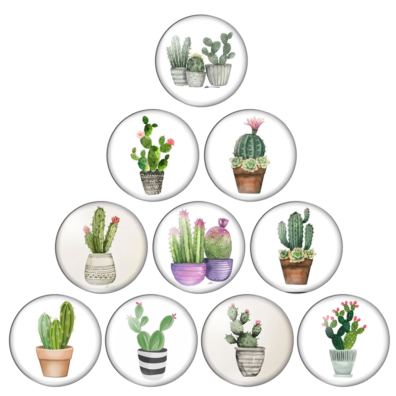 Новые модные растения кактусы цветы масляная краска 18 мм/20 мм/25 мм круглые фото