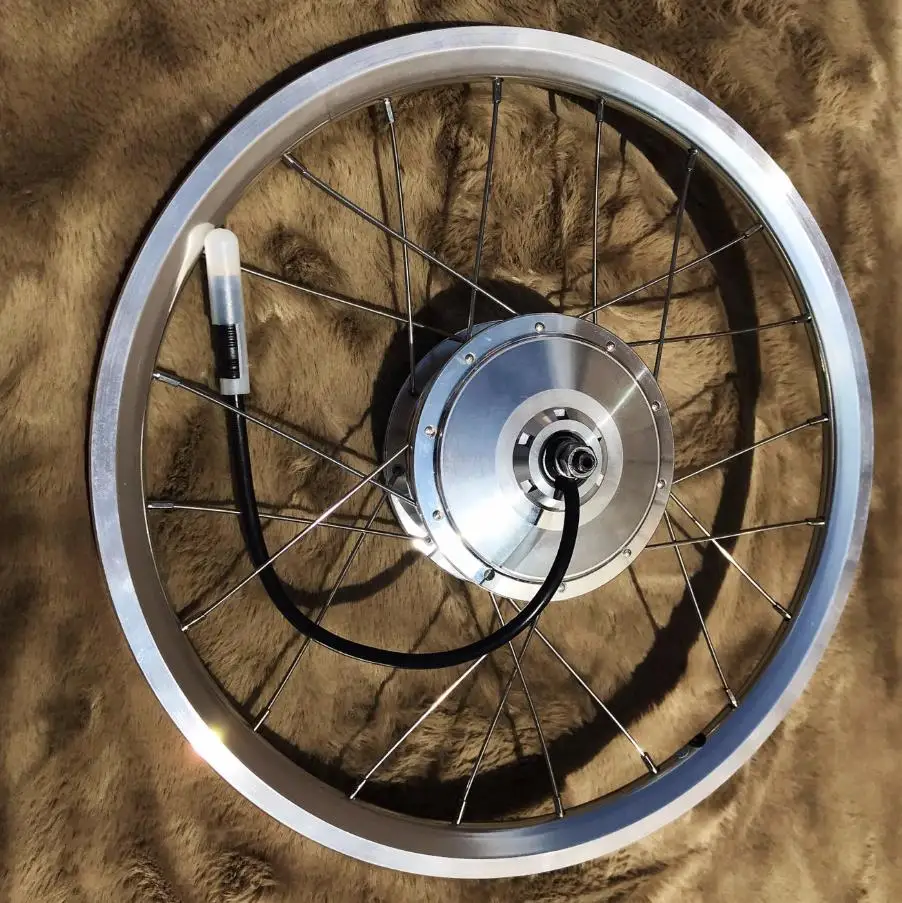 

Ralx 8mm motor AKM-74SX 36V 250W EBike Front Driving Hub Motor Fork Size 74mm 28holes 16inch 349 wheel rim (Brompton )