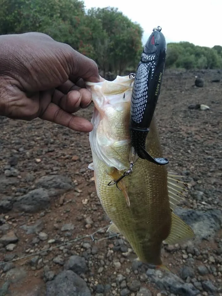Уважаемый покупатель пожалуйста зайдите в наш магазин там будут лучшие товары