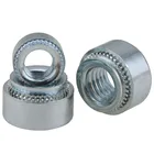 Самоклеящаяся гайка, яркая цинковая штамповочная заклепка, гайка M2 M2.5 M3 M4 M5 M6 M8 M10