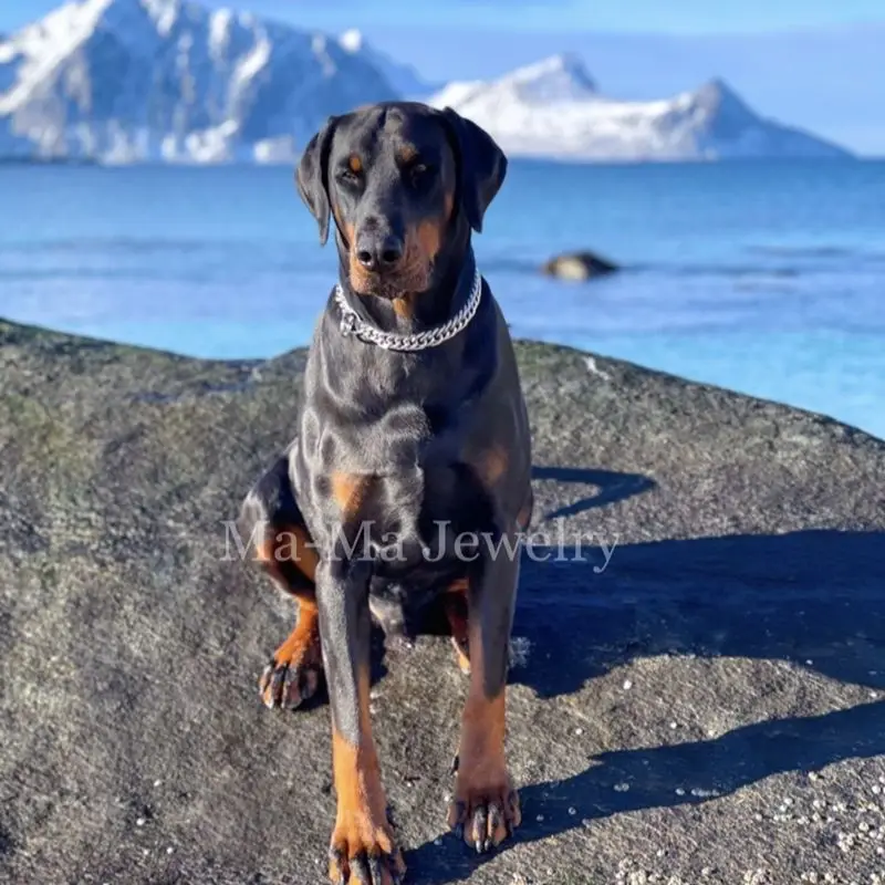 Собачий ошейник с цепью поводок для домашних питомцев ожерелье из нержавеющей