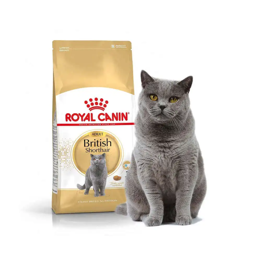 Royal Canin British Shorthair Adult корм для взрослых кошек британской короткошерстной породы 2