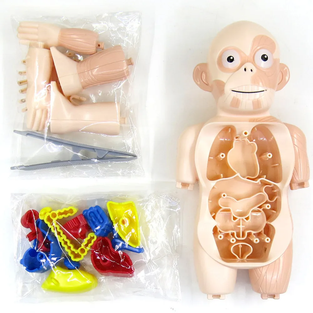 

1 Set of Educational DIY Gift Assembled Mold Assembled Model