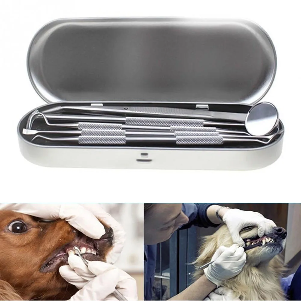 

Стоматологический Скейлер для домашних животных 5 шт./компл., портативный двухголовый очиститель зубов для домашних животных, инструменты д...