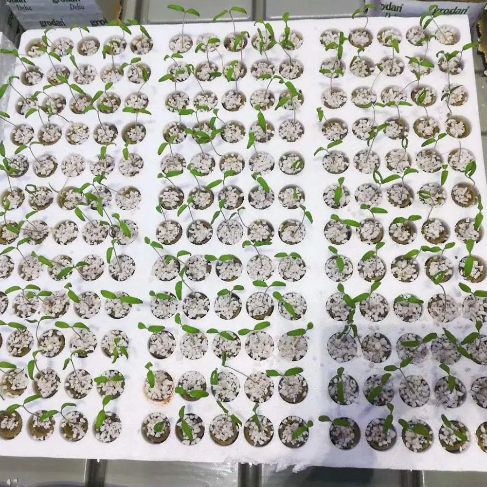 Новая импортная минеральная вата чистая культура подложка сельскохозяйственная