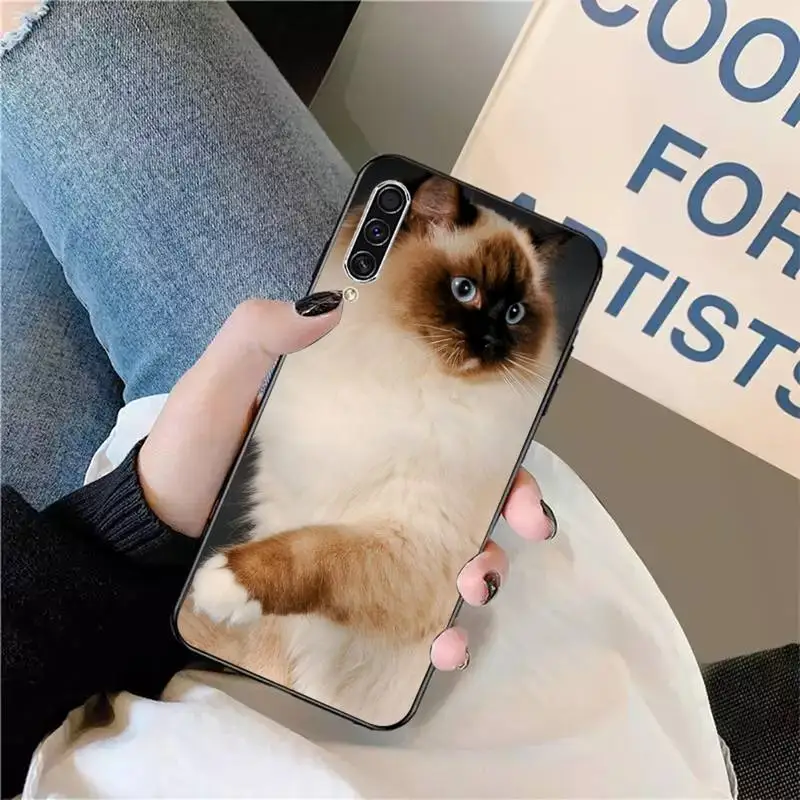 

ragdoll cat Cute animal Phone Case For Samsung galaxy S 9 10 20 A 10 21 30 31 40 50 51 71 s note 20 j 4 2018 plus