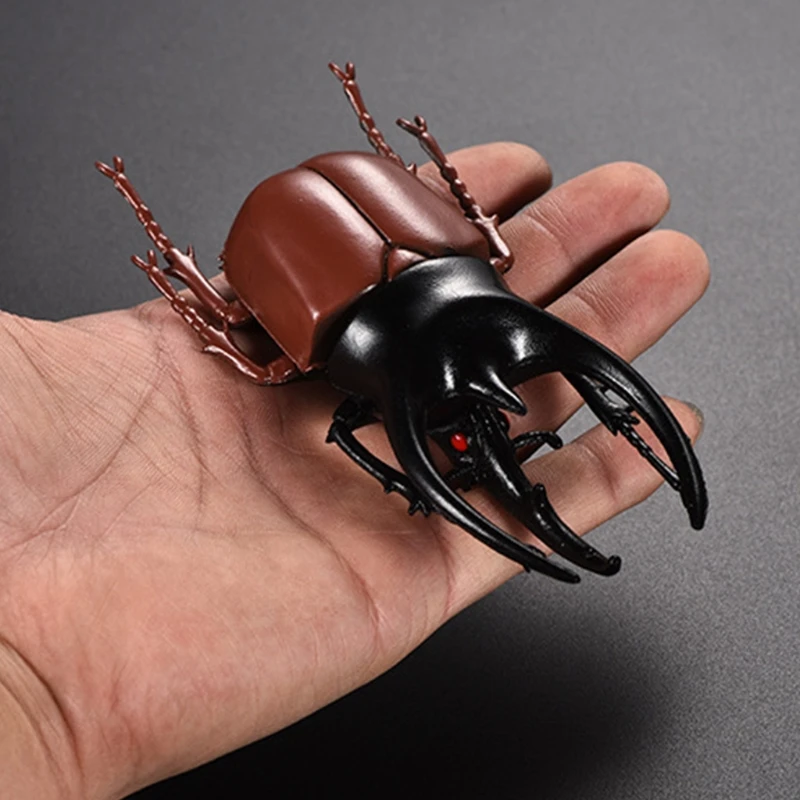 

C5AF 6pcs/set Simulation Solid Static Insect Model Ornaments Realistic Beetle Child Educational Props Scene Decor Kids Toy