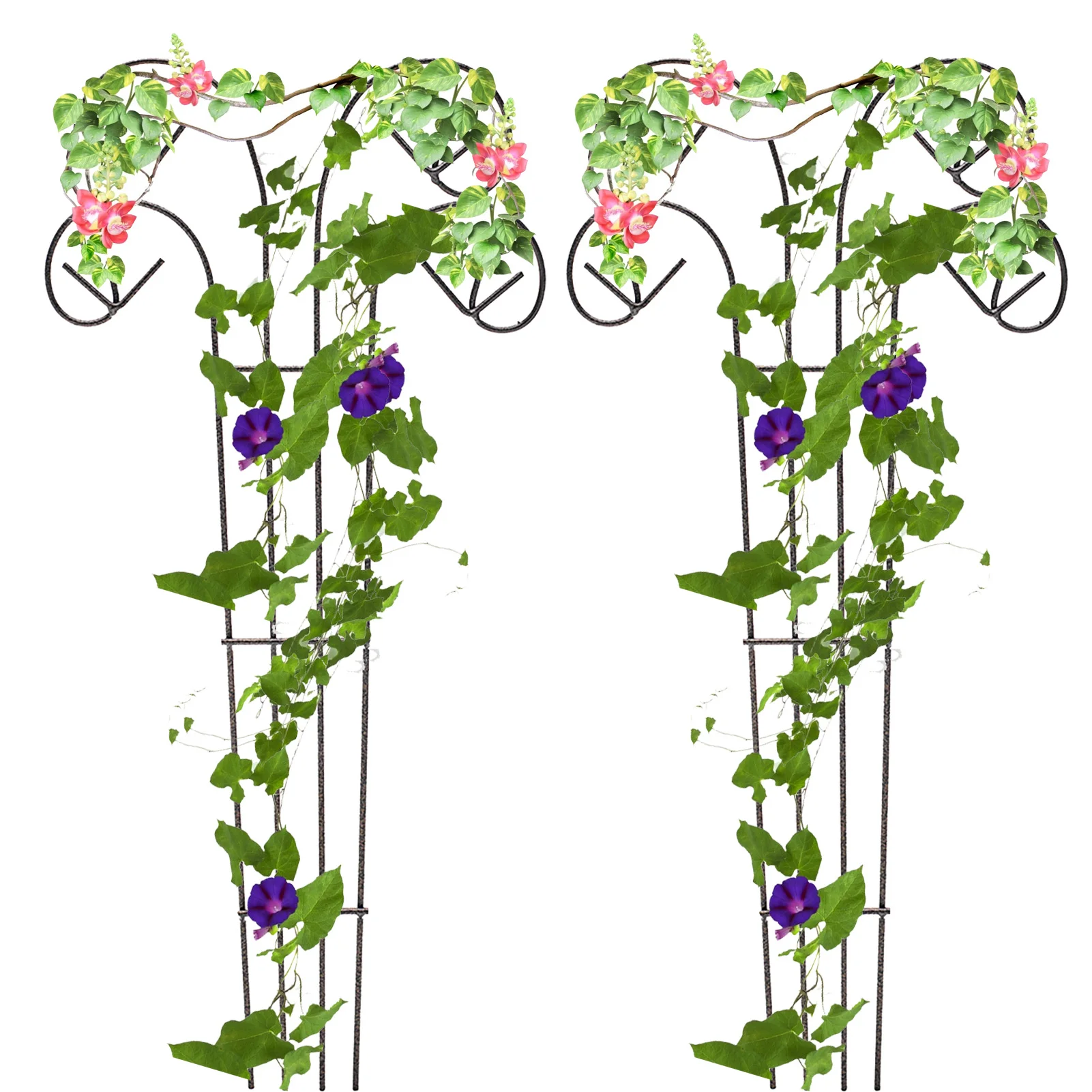 

Butterfly-like Garden Trellis Iron Climbing Plant Grow Support Garden Flower Plant Growing Support Iron Trellis Wall Garden