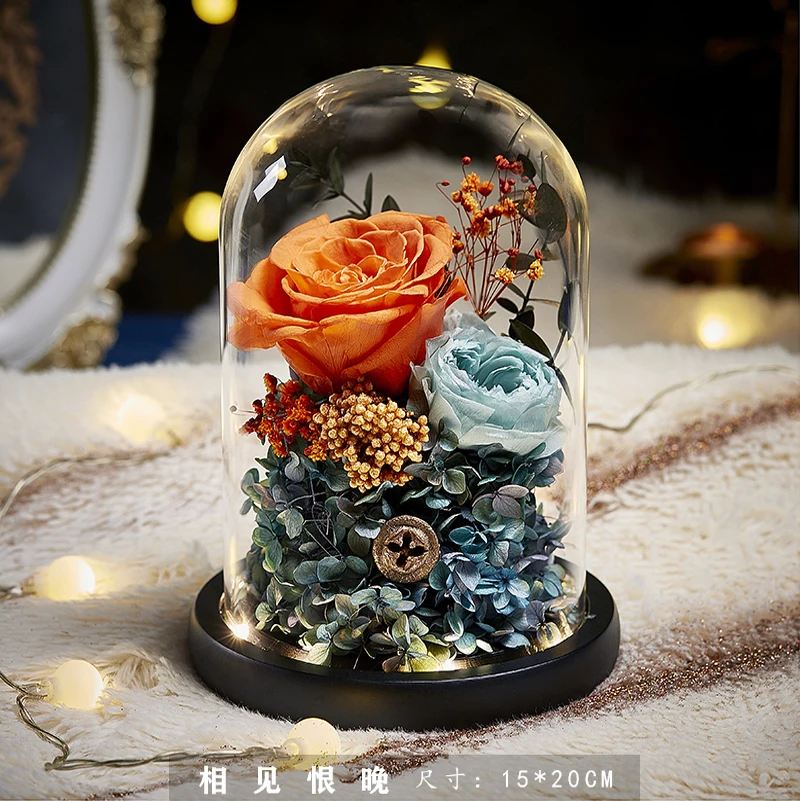 

2021 new valentines day gifts christmas romantic gift beauty and the beast roses eternal rose in dome with led lamps home decor