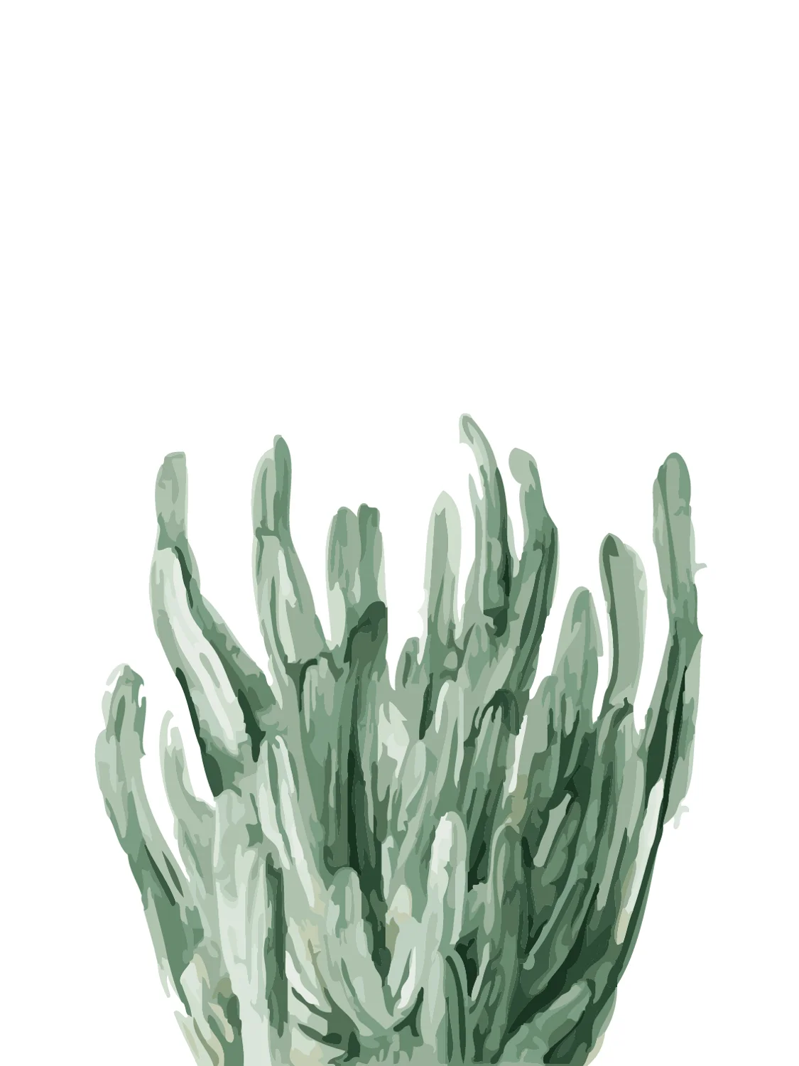 Простая краска кактус по номерам художественная ing ручная ed зеленые растения