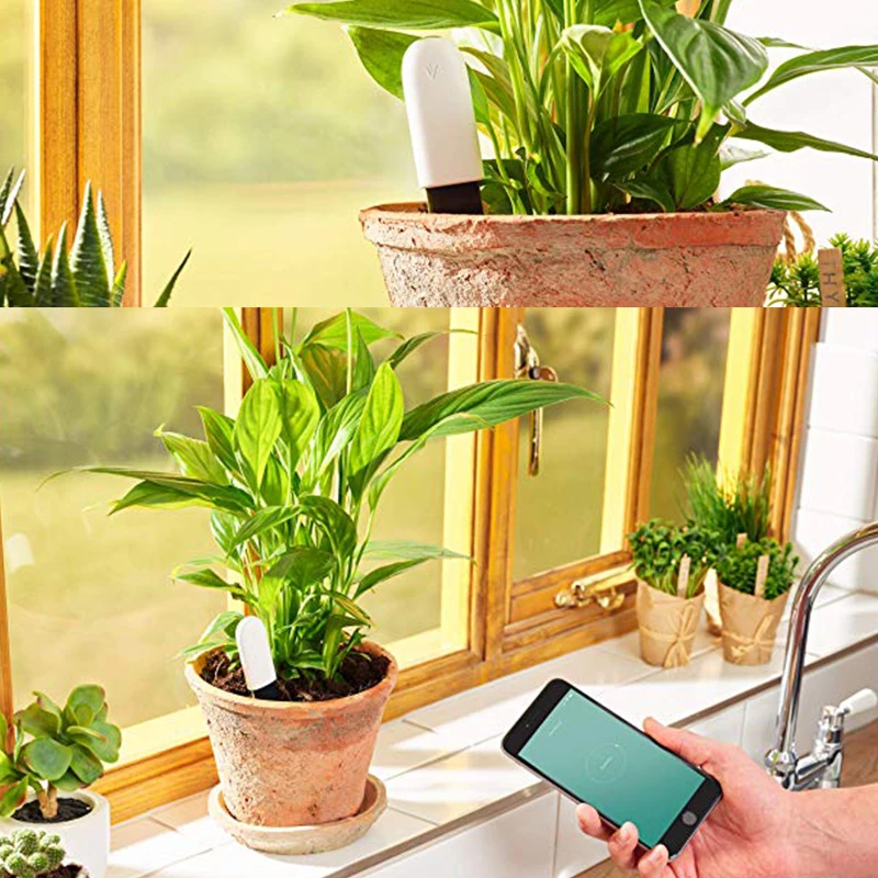 VegTrug Флора уход цифровые растения Трава почвы тестер воды сенсор Цветок монитор