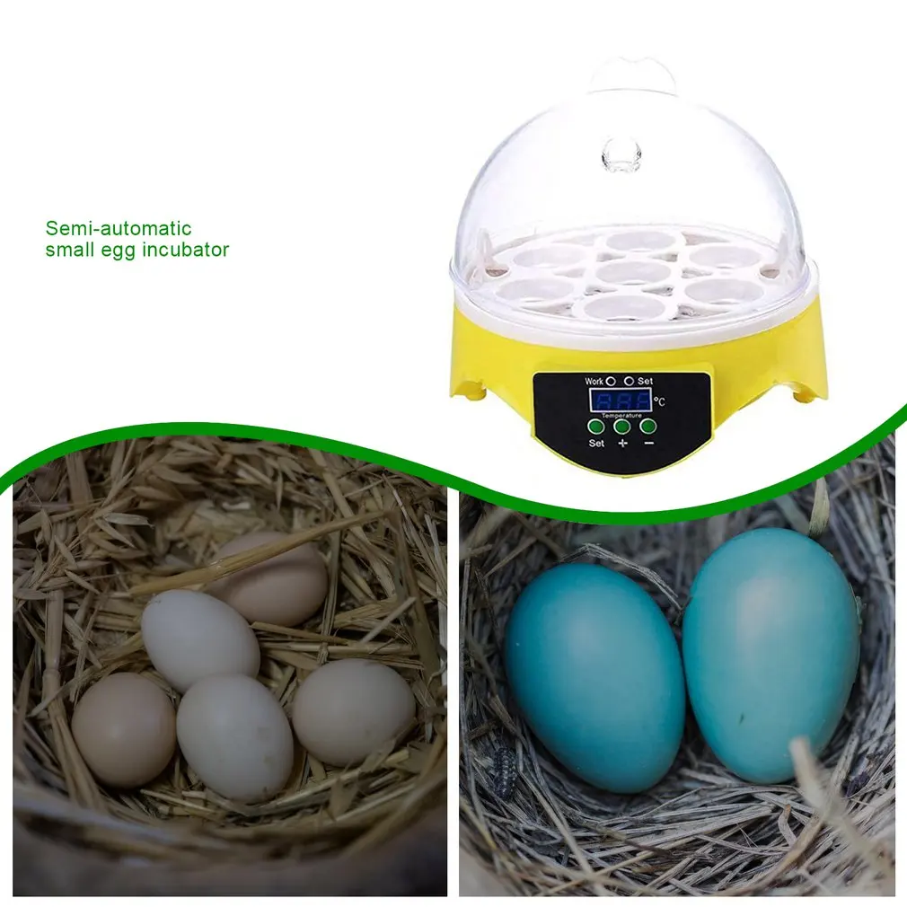 

Mini 7 Egg Incubator Poultry Incubator Brooder Digital Temperature Hatchery Egg Incubator Hatcher Chicken Duck Bird Pigeon