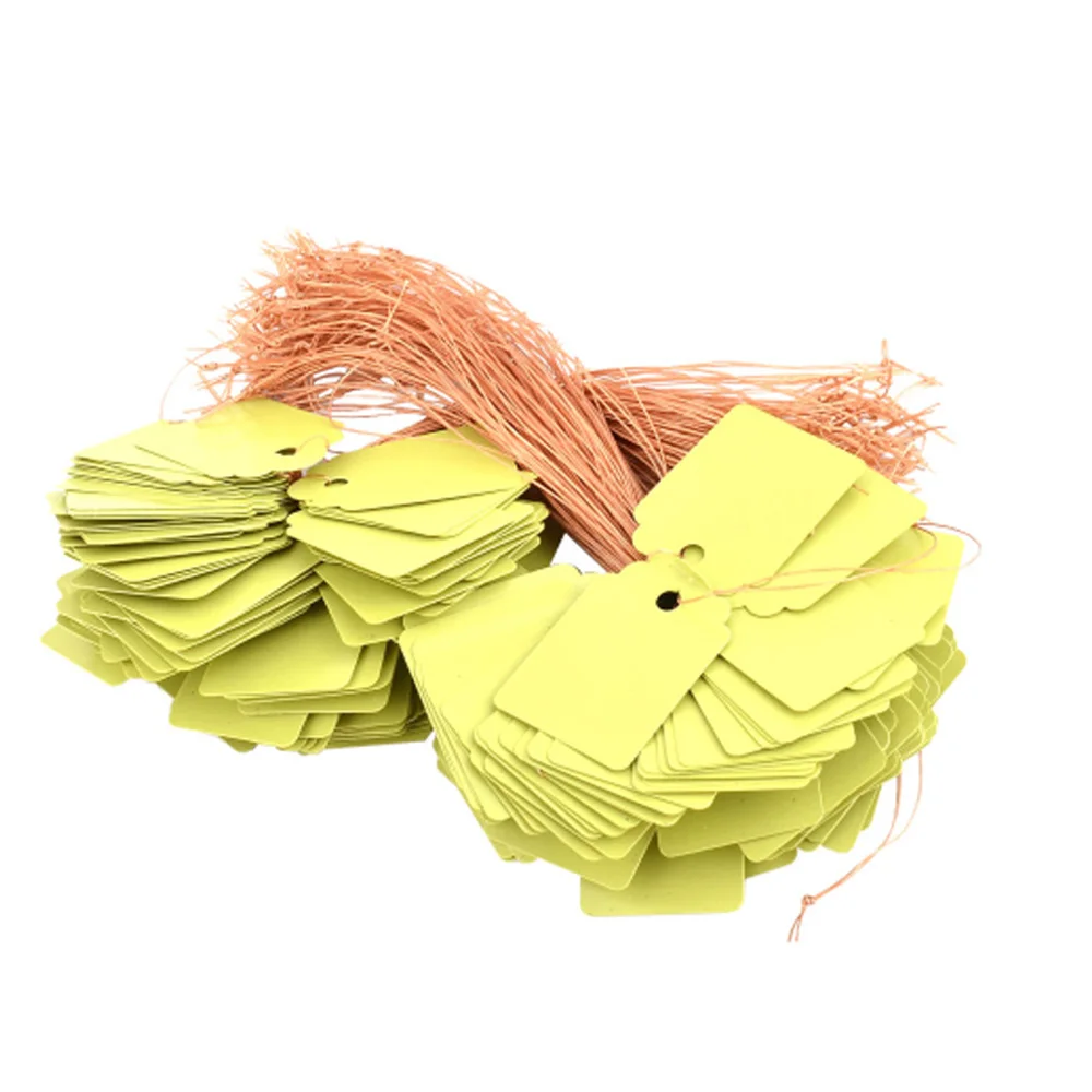 

Decor Plant Label Nursery 100PCS Multi Colors Plastic Sign Hanging Tags Gardening Green House Marker