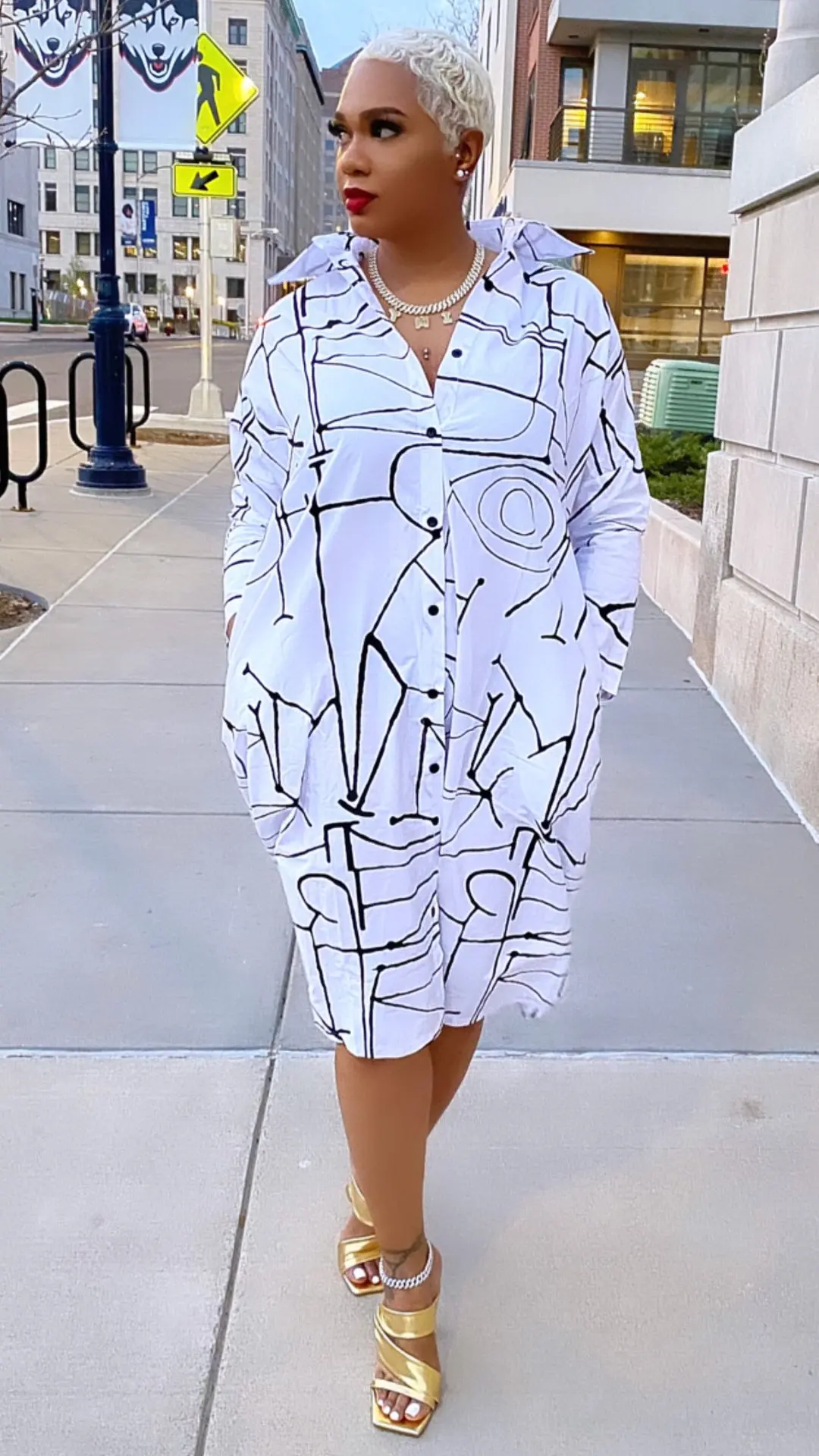 

2021 New Fashion Women's Printed Button Down Shirt Dress Long Sleeve Blouse