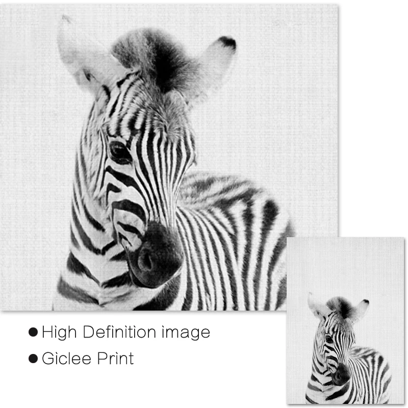 Черно белая фотография искусства детской комнаты|Рисование и каллиграфия| |