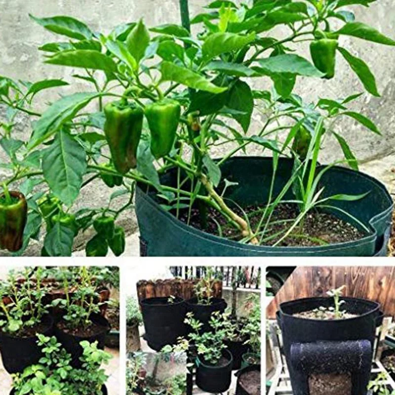 

Garden 6-Pack 7 Gallon Grow Bags /Aeration Fabric Pots (Black) & 3x Garden Grown Potato Growing Bags (10 Gallons)