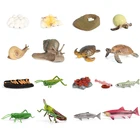 Детский подарок моделирование Животные жизненный цикл фигурки животных и лосось морская черепаха Улитка цикл роста модельные Фигурки игрушки игровой набор