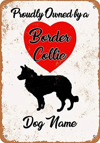 

Metal Sign - Custom Dog Name - Border Collie - Vintage Look